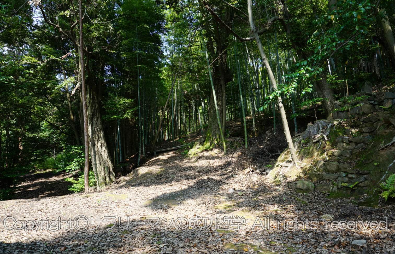 京都一人旅 仕事人撮影場所とパワースポットを写真105枚で紹介 サラリーマンの成功哲学 再起動